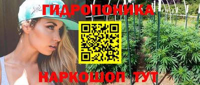 a pvp Донской