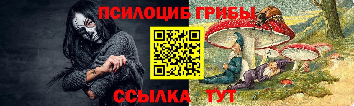 Галлюциногенные грибы GOLDEN TEACHER  Вход с VPN  Мелеуз  Псилоцибиновые грибы ЛСД 